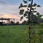 Villa Leone *