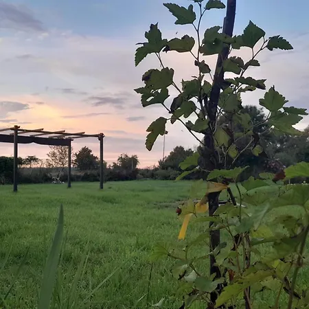 Villa Leone *
